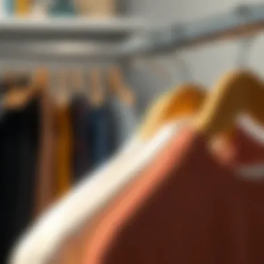 Magnificent Storage Saver Hangers: Maximizing Wardrobe Efficiency Magnificent Storage Saver Hangers: Maximizing Wardrobe Efficiency