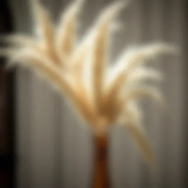 Magnificent The Aesthetic and Practical Aspects of Using Pampas Grass in Vases Magnificent The Aesthetic and Practical Aspects of Using Pampas Grass in Vases