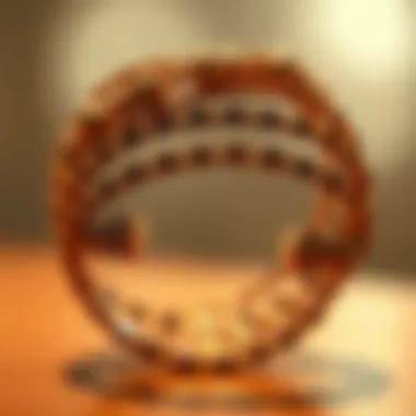 Magnificent The Intricacies of Slimming Bracelets: A Comprehensive Exploration Magnificent The Intricacies of Slimming Bracelets: A Comprehensive Exploration