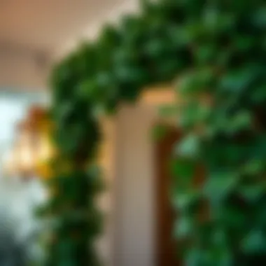 Magnificent The Symbolism and Versatility of Ivy Leaves Garlands Magnificent The Symbolism and Versatility of Ivy Leaves Garlands