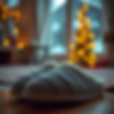 Magnificent The Ultimate Guide to the Warmest Indoor Slippers