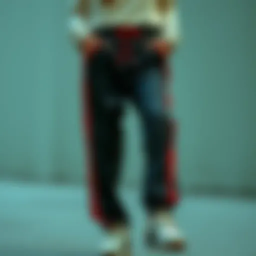An In-Depth Exploration of Women's Tear Away Track Pants Introduction