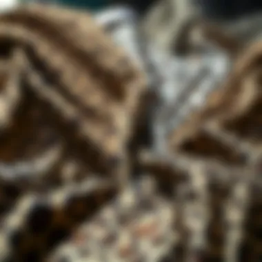 Diverse Animal Print Fabrics Variety of animal print fabrics displayed artistically
