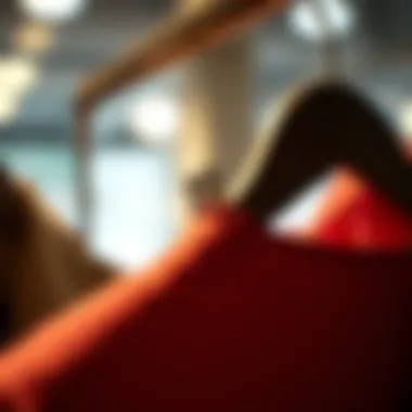 Clips holding garments securely on a hanger