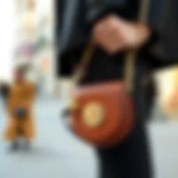 Comprehensive Exploration of the Crossbody Coin Purse Introduction