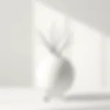 Elegant white round flower vase set against a minimalist backdrop