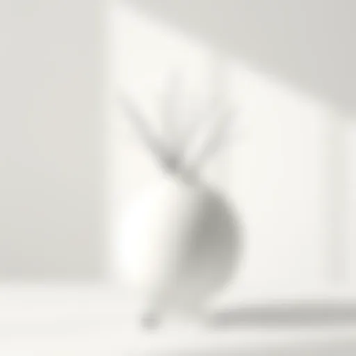 Elegant white round flower vase set against a minimalist backdrop