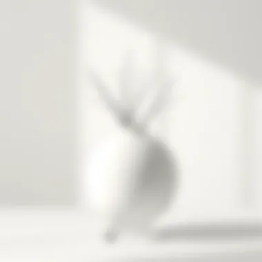 Minimalist Elegance of a White Round Flower Vase Elegant white round flower vase set against a minimalist backdrop