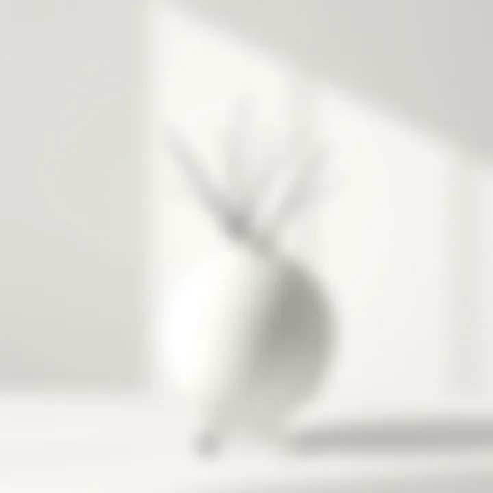 Minimalist Elegance of a White Round Flower Vase Elegant white round flower vase set against a minimalist backdrop