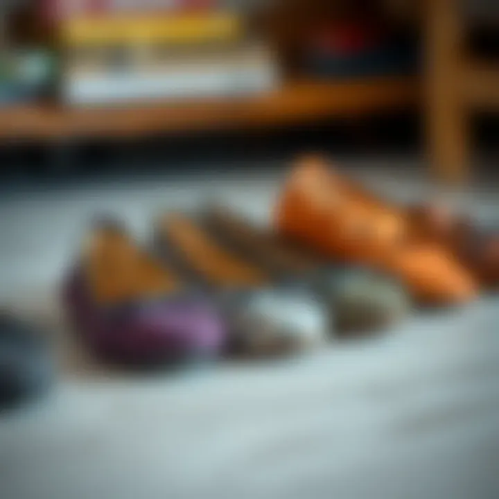 Diverse Materials for Criss Cross Strap Ballet Flats A variety of materials used in ballet flats with criss cross straps