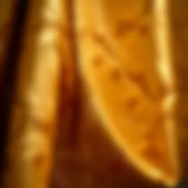 Intricate Textures of Floral Fabric Close-up of rich textures in gold floral fabric