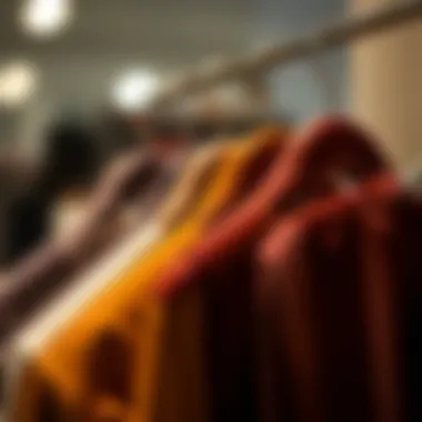 Exploring Mizgi Premium Velvet Hangers: Functionality Meets Aesthetic Summary Exploring Mizgi Premium Velvet Hangers: Functionality Meets Aesthetic Summary