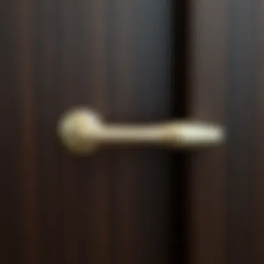 Chic Silver Handle on Dark Wood Stylish silver cabinet handle contrasting with dark wood