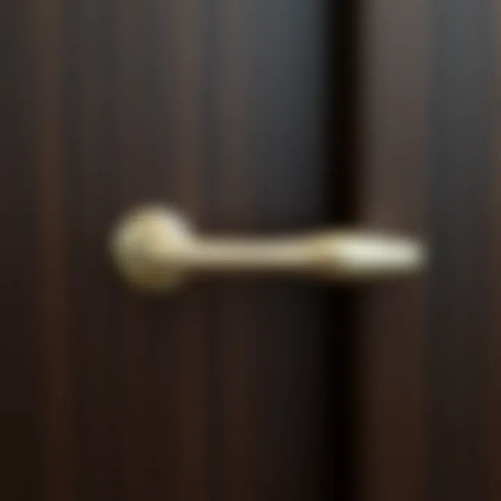 Chic Silver Handle on Dark Wood Stylish silver cabinet handle contrasting with dark wood