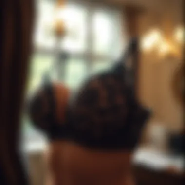 Exploring the Allure of the Sexy Lace Push-Up Bra Summary Exploring the Allure of the Sexy Lace Push-Up Bra Summary