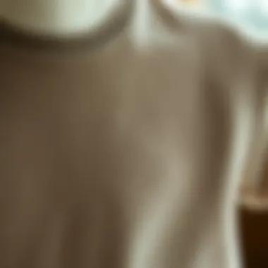 Fabric Texture of a Short Sleeve Turtleneck Close-up of fabric texture for a short sleeve turtleneck