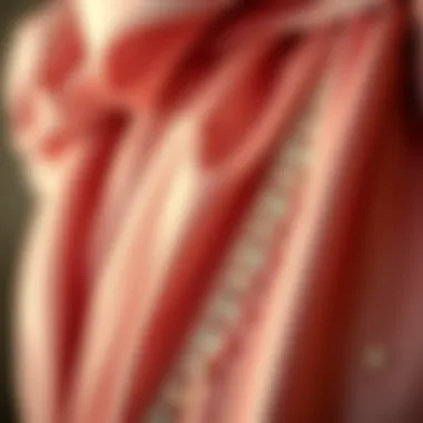 Detailing and Fabrics: The Craftsmanship of Vintage Dresses Close-up of luxurious fabric and detailing on a vintage dress