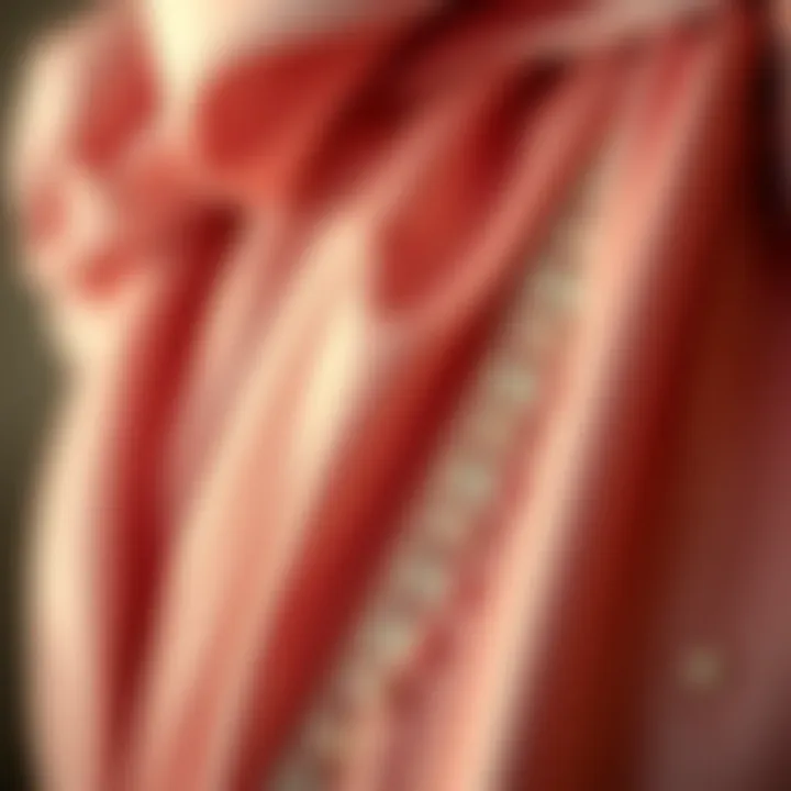 Detailing and Fabrics: The Craftsmanship of Vintage Dresses Close-up of luxurious fabric and detailing on a vintage dress