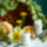 Vibrant green botanicals representing eco-conscious ingredients