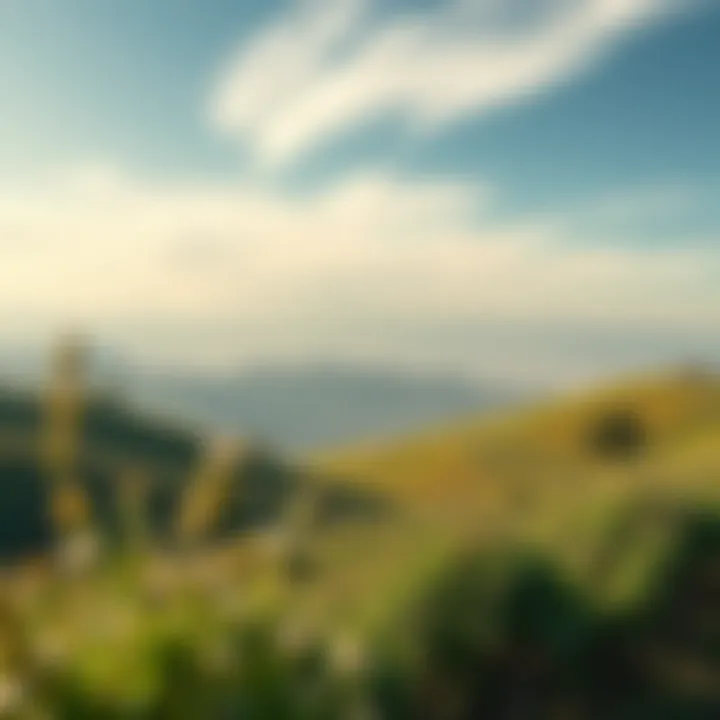 Sustainable Beauty Landscape A serene landscape symbolizing sustainability in beauty