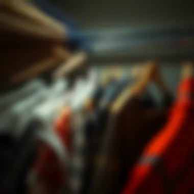 Notable Maximizing Space: The Benefits and Applications of Closet Broom Hangers Notable Maximizing Space: The Benefits and Applications of Closet Broom Hangers