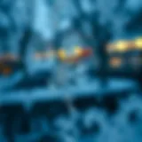 Delicate snowflake window cling designs captured on a frosty glass surface