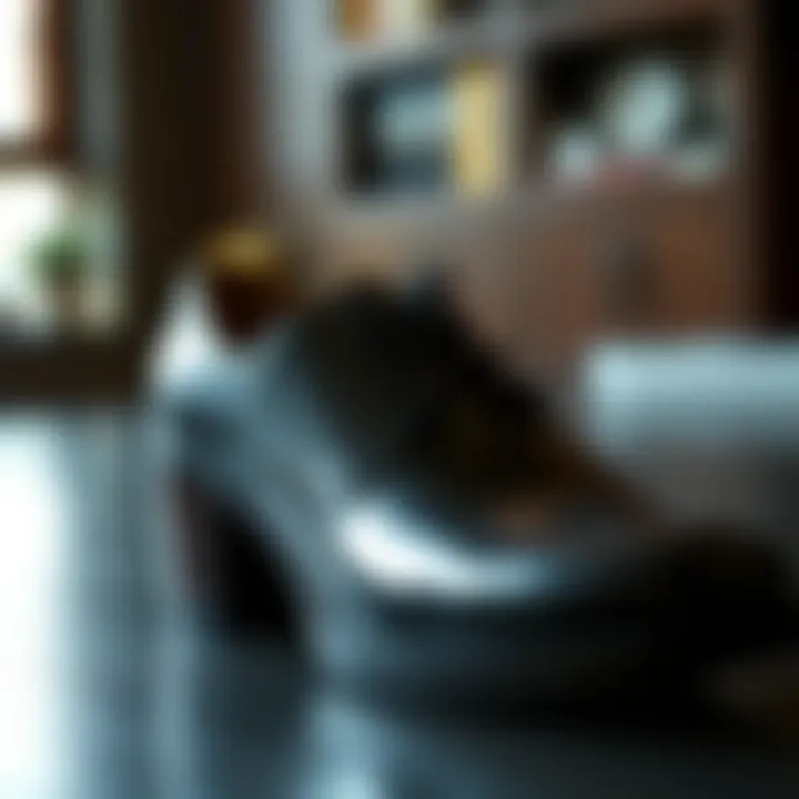 The Adjustable Shoe Stretcher: A Comprehensive Examination Summary