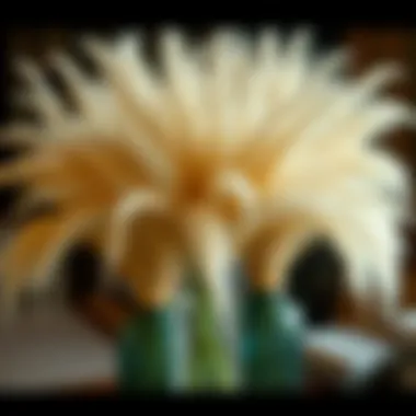 Notable The Aesthetic and Practical Aspects of Using Pampas Grass in Vases Notable The Aesthetic and Practical Aspects of Using Pampas Grass in Vases