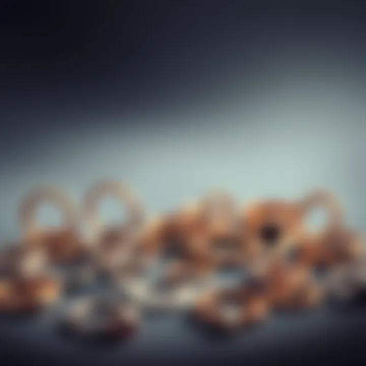 Diverse collection of feminine septum rings showcasing various designs and materials