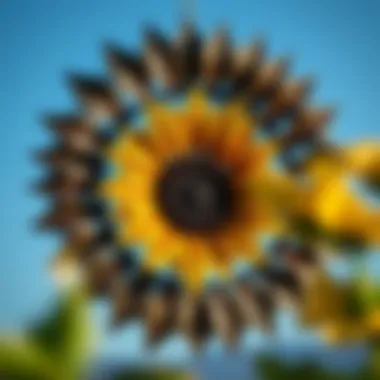 The Art of Metal Sunflower Wreaths: A Detailed Exploration Summary The Art of Metal Sunflower Wreaths: A Detailed Exploration Summary