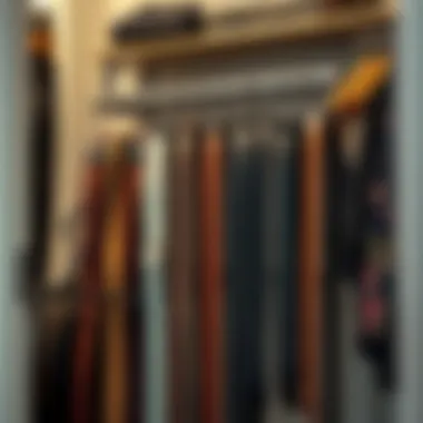 Notable The Comprehensive Guide to Choosing a Belt Rack for Your Closet