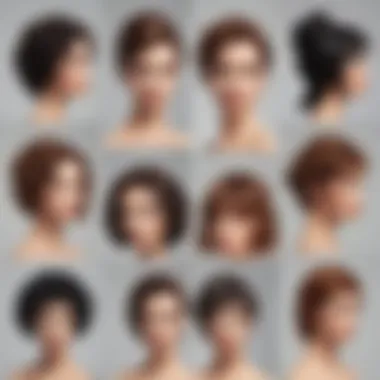 Various types of micro braid wigs displayed elegantly to show versatility