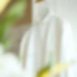 A classic plain white blouse elegantly displayed on a hanger