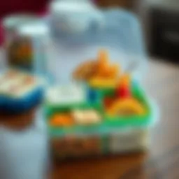 Organized lunch box with colorful dividers separating various food items