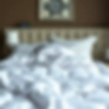 The Role of Vacuum Storage Bags in Comforter Maintenance Summary