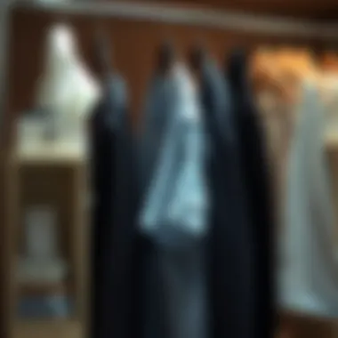 A stylish wardrobe showcasing clothes hangers with clips